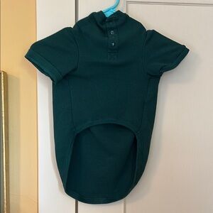 Stylish Green Dog Shirt